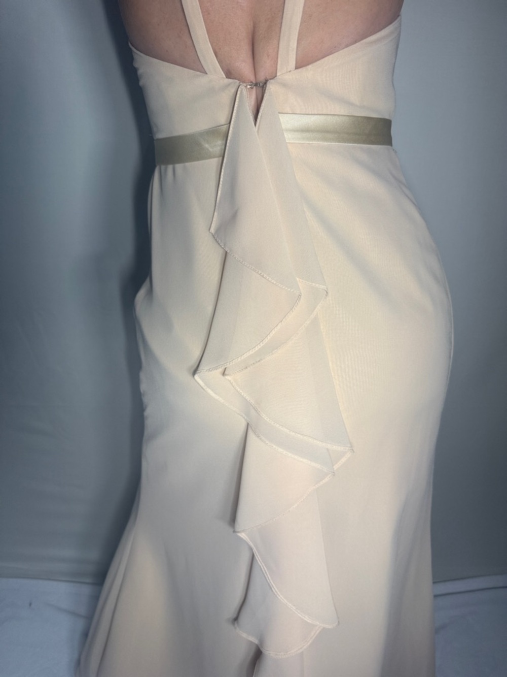 CHRISTINA WU CHAMPAGNE HALTER MAXI GOWN SZ 2 - Picture 7 of 9